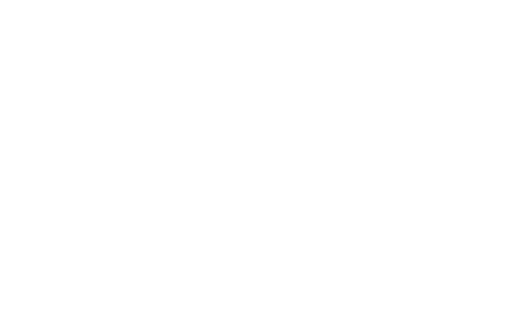 Logo 11