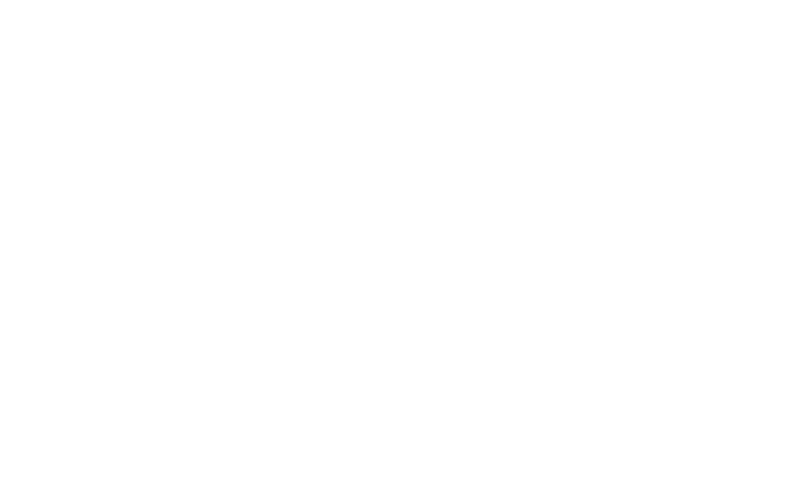 Logo 12